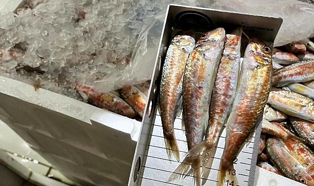 Kıyıköy ve İğneada’da Su Ürünleri Denetimi