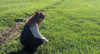 Pehlivanköy’de Arpa Ekilişleri Kontrol Edildi 