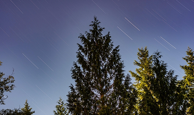 13 Şubat 2026 Cuma Günlük Burç Yorumları: Önceliklerinizi Netleştirmeniz Gerekiyor