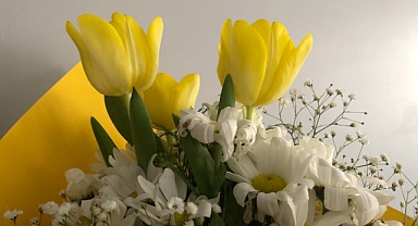 14 Şubat Sevgililer Günü’nde Hangi Çiçekler Alınır? İşte Anlamları ve En Popüler Seçenekler