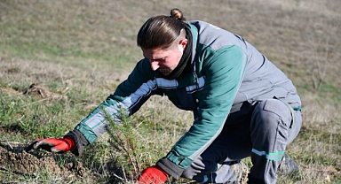 3 Yılda 7 Bin 761 Fidan Toprakla Buluştu