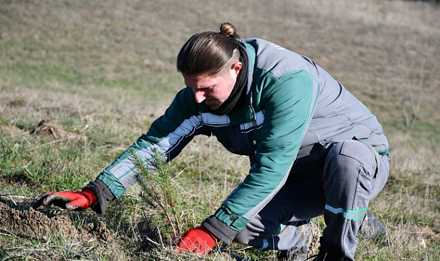 3 Yılda 7 Bin 761 Fidan Toprakla Buluştu