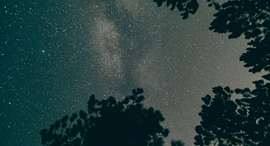 5 Şubat 2026 Perşembe Günlük Burç Yorumları: Aşk, Para ve Kariyerde Bugün Sizi Neler Bekliyor?