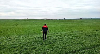 Babaeski’de Hububat Ekiliş Alanlarında Kontroller Yapıldı