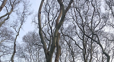 Babaeski’de Sıcaklık -3 Dereceye Kadar Düşecek