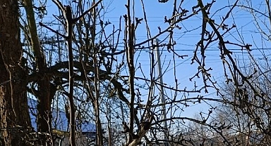 Babaeski’de Yarın Hava Nasıl Olacak?