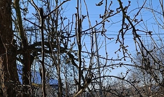 Babaeski’de Yarın Hava Nasıl Olacak?