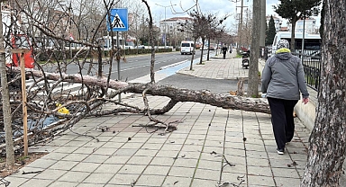 Edirne ve Kırklareli için 'fırtına' uyarısı