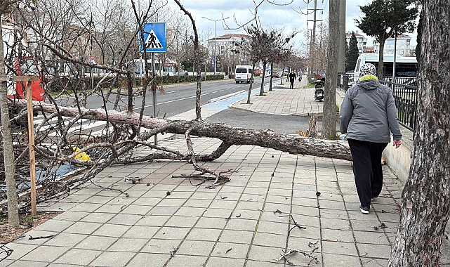 Edirne ve Kırklareli için 'fırtına' uyarısı