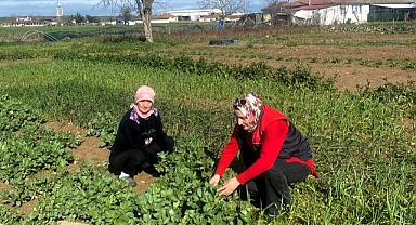 Kadın Üreticilere Yerinde Teknik Destek