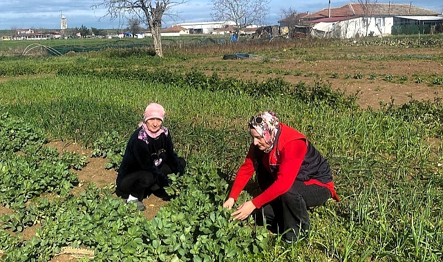 Kadın Üreticilere Yerinde Teknik Destek