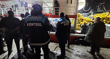 Kırklareli’nde Hamsi Kota Denetimi: Balıkçı Barınaklarında Sıkı Kontrol
