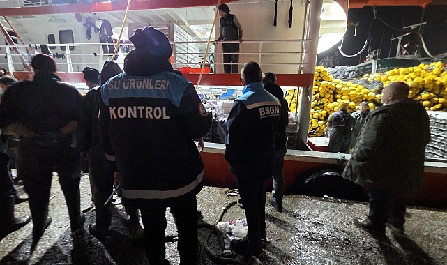 Kırklareli’nde Hamsi Kota Denetimi: Balıkçı Barınaklarında Sıkı Kontrol