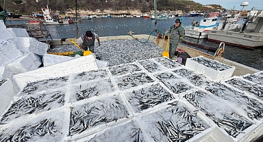 Kırklarelili balıkçılar, Karadeniz'de 6 saatte 30 ton hamsi avladı