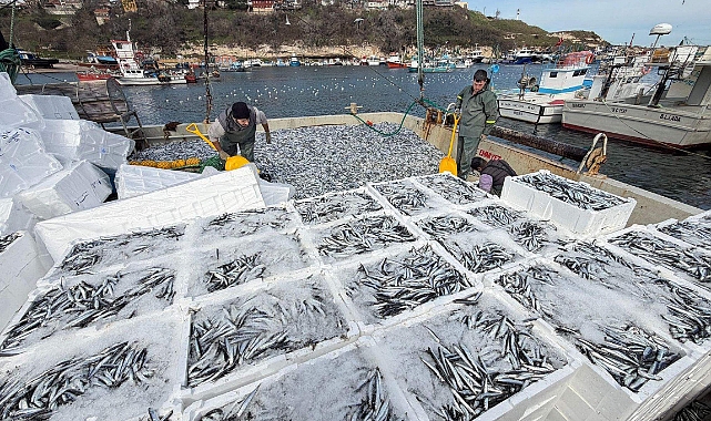 Kırklarelili balıkçılar, Karadeniz'de 6 saatte 30 ton hamsi avladı