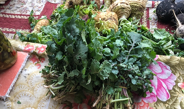 Kış Sofralarının Şifa Kaynağı: Roka Hem Sağlıklı Hem Lezzetli