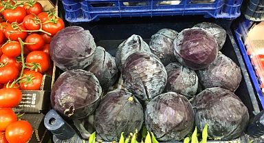 Mor Lahana: Kış Sofralarının Şifa ve Lezzet Deposu