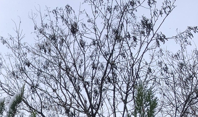 Sağanak Yağış Gün Boyu Etkili Olacak!