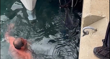 Soğuk havaya aldırış etmeden denize girip kıyıya vuran orkinosu çıkardı