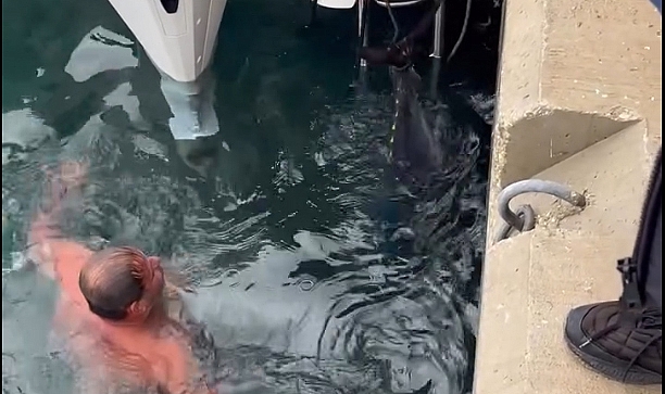 Soğuk havaya aldırış etmeden denize girip kıyıya vuran orkinosu çıkardı