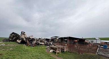Tekirdağ'da çiftlik yangınında ölen küçükbaş sayısı 230'a yükseldi