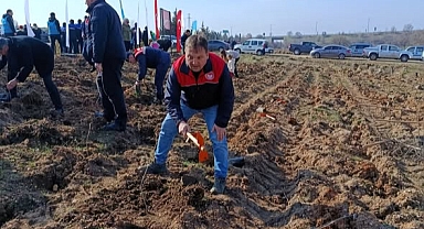 Babaeski’de “Gazze Hatıra Ormanı” Fidanlarla Yeşerdi