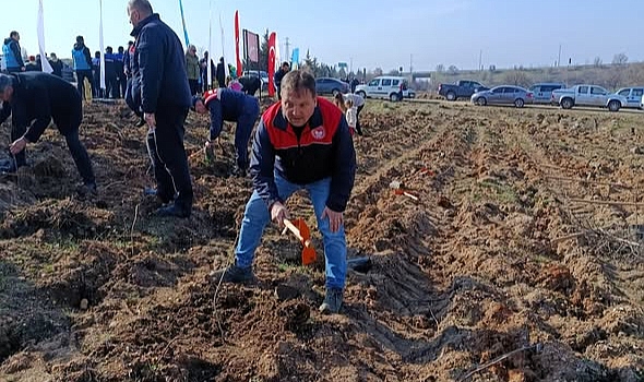 Babaeski’de “Gazze Hatıra Ormanı” Fidanlarla Yeşerdi