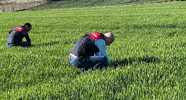 Babaeski’de Kanola ve Hububat Tarlalarında Kontrol