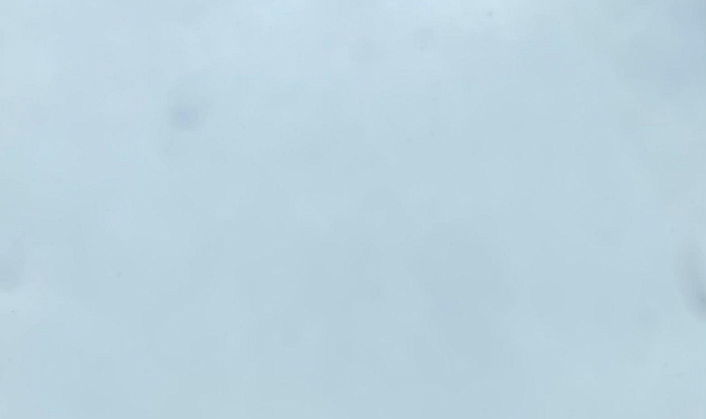 Babaeski’de Yarın Hava Nasıl Olacak? İşte Detaylı Hava Durumu Tahmini