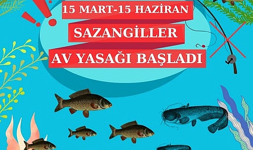 Kırklareli’nde Sazangiller İçin Av Yasağı Başladı: Balıkçılar Dikkat