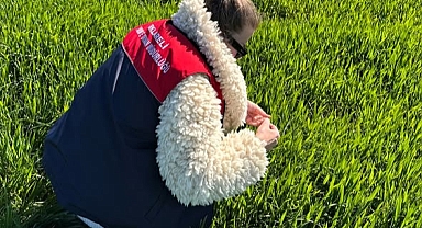 Lüleburgaz’da Hububat Alanlarında Yoğun Denetim