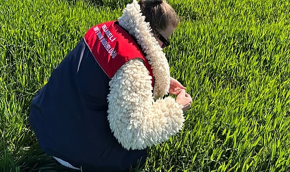 Lüleburgaz’da Hububat Alanlarında Yoğun Denetim