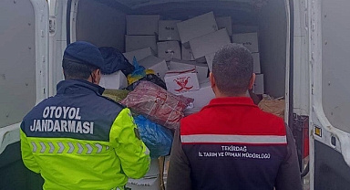Tekirdağ'da baklavada kullanılacak 2 ton aflatoksinli fıstık ele geçirildi