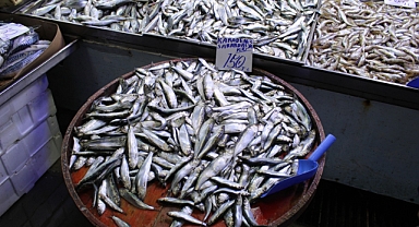 Tezgahlar Dolup Taştı: Her Tür Balık Vatandaşla Buluştu