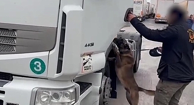 TIR'da 53 kilo skunk ele geçirildi; 2 gözaltı