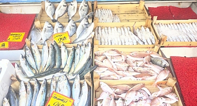 Babaeski’de Balık Tezgahlarında Yoğunluk Artıyor