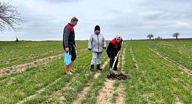 Babaeski’de Demonstrasyon Tarlası İçin Çalışmalar Başladı