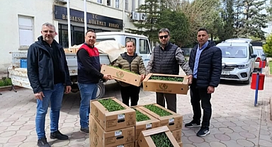 Babaeski’de Üreticiye Büyük Destek! %75 Hibeli Domates Fideleri Dağıtıldı