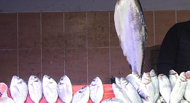 Denizlerde Sürdürülebilirlik İçin Kritik Karar