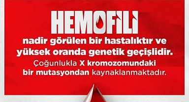 Hemofili Nedir? Genetik Geçişli Nadir Hastalık Hakkında Önemli Bilgiler