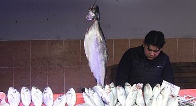 Kırklareli’nde Av Yasakları Açıklandı: Hangi Balık Ne Zaman Yasak?