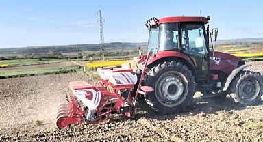 Kırklareli’nde Ayçiçeği Sezonu Başladı! Pehlivanköy’de Tohumlar Toprakla Buluştu