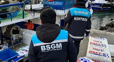 Kırklareli’nde Hamsi Avcılığı Yoğun İlgi Görüyor