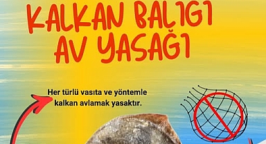 Kırklareli’nde Kalkan Balığı İçin Av Yasağı Uygulaması Başladı