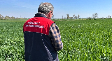 Kırklareli’nde Süne Alarmı! Yetkililerden Üreticilere Kritik Uyarı