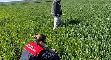 Kırklareli’nde Süne Sürveyi Çalışmaları Hız Kazandı