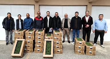 Kırklareli’nde Tarıma Stratejik Destek: Domates Üretiminde Yeni Adım