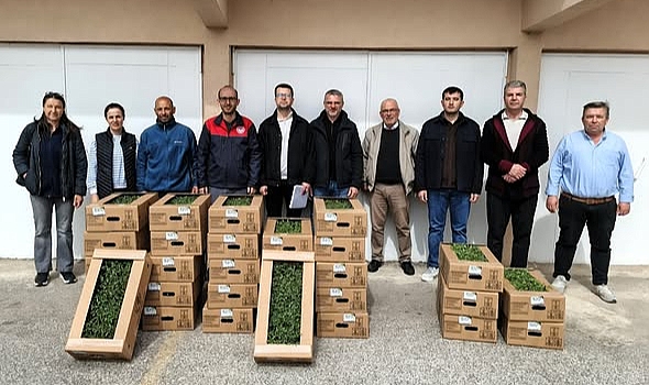 Kırklareli’nde Tarıma Stratejik Destek: Domates Üretiminde Yeni Adım