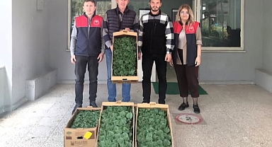 Lüleburgaz’da Hıyar Üretimine Destek