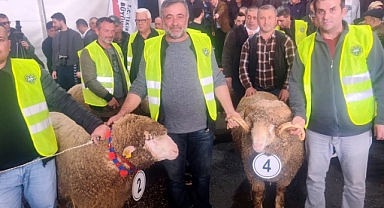 Malkara’da koç güzellik yarışmasının kazanını ‘Şakir’ oldu